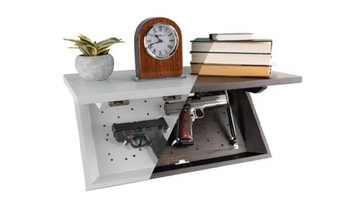 in plain sight shelf