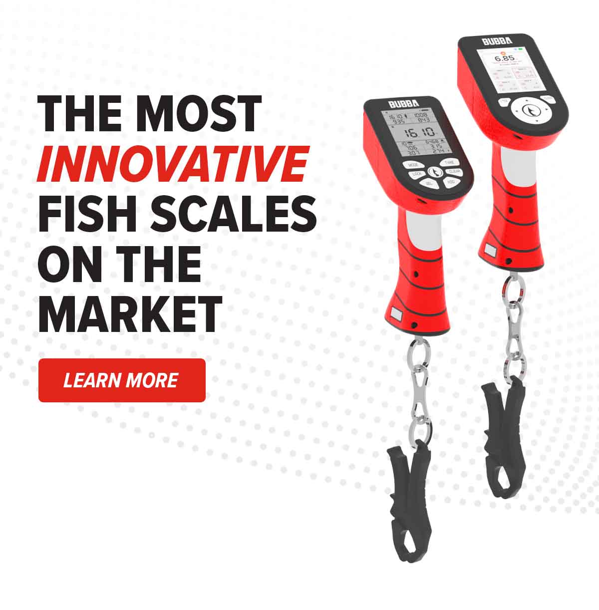 Learn More About The Most Innovative Fish Scales On The Market