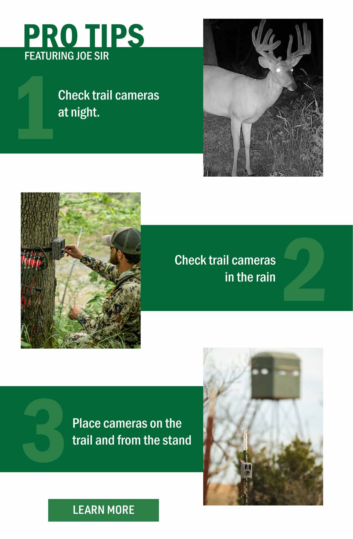  Follow Along To Get The Most Out Of Your Trail Cam