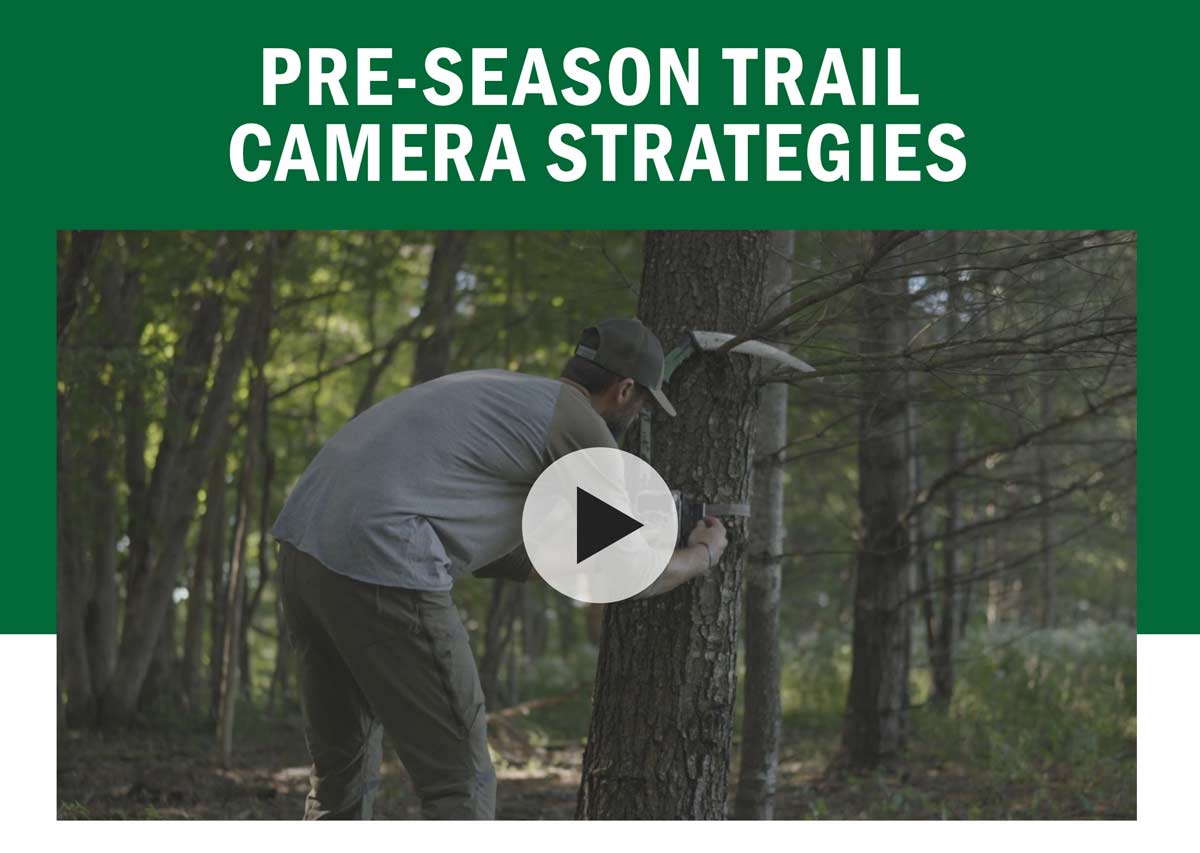 Pre-Season Trail Camera Strategies