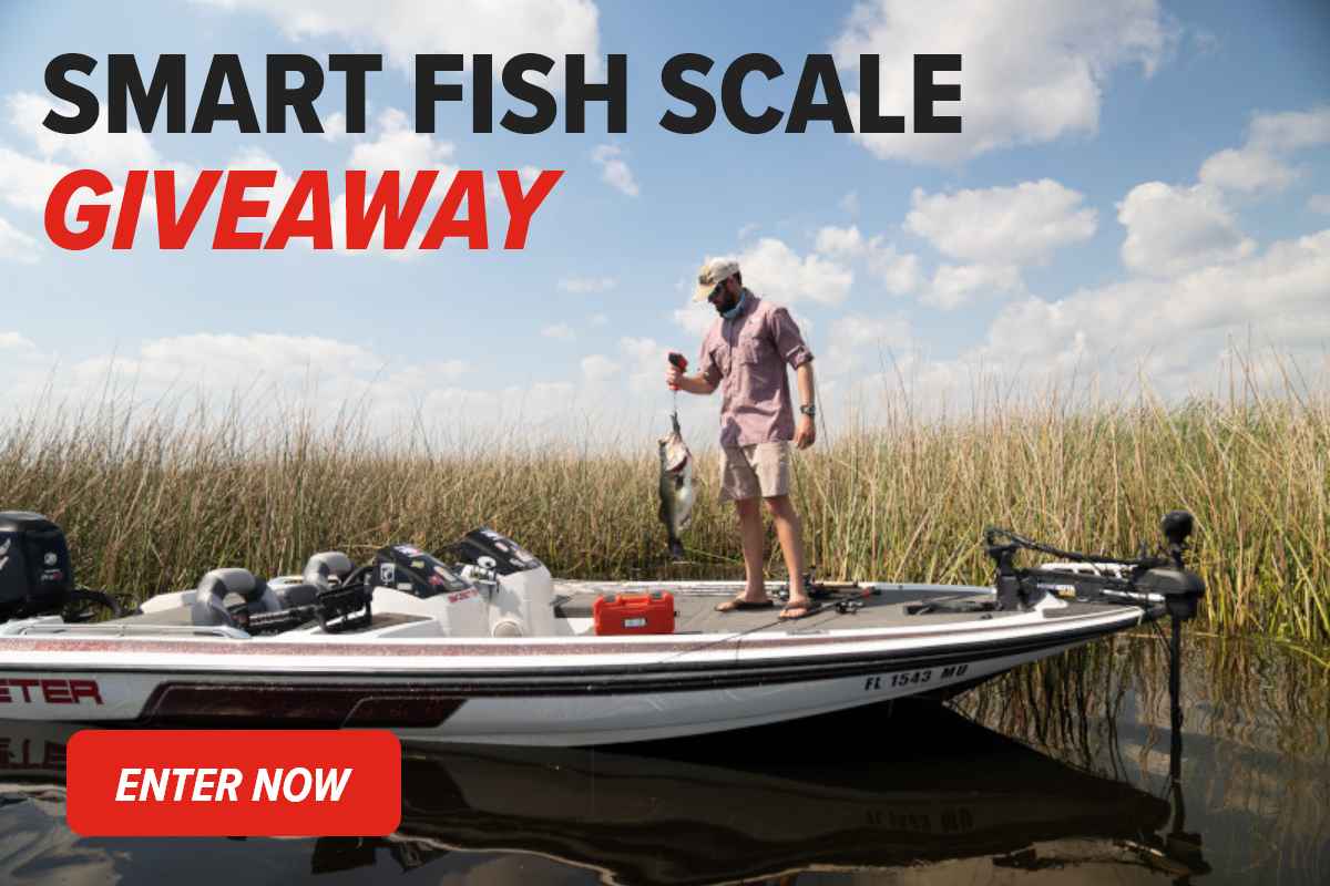 Smart Fish Scale Giveaway