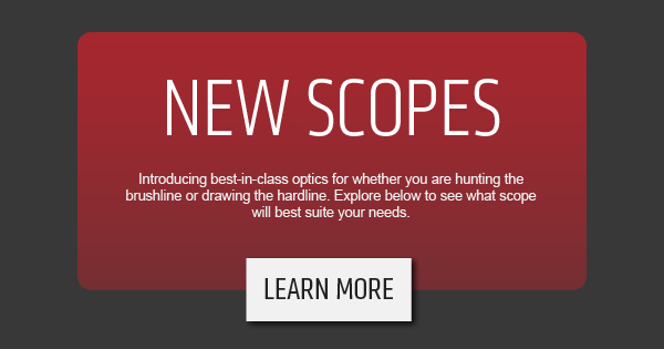 Learn More About The New Scopes