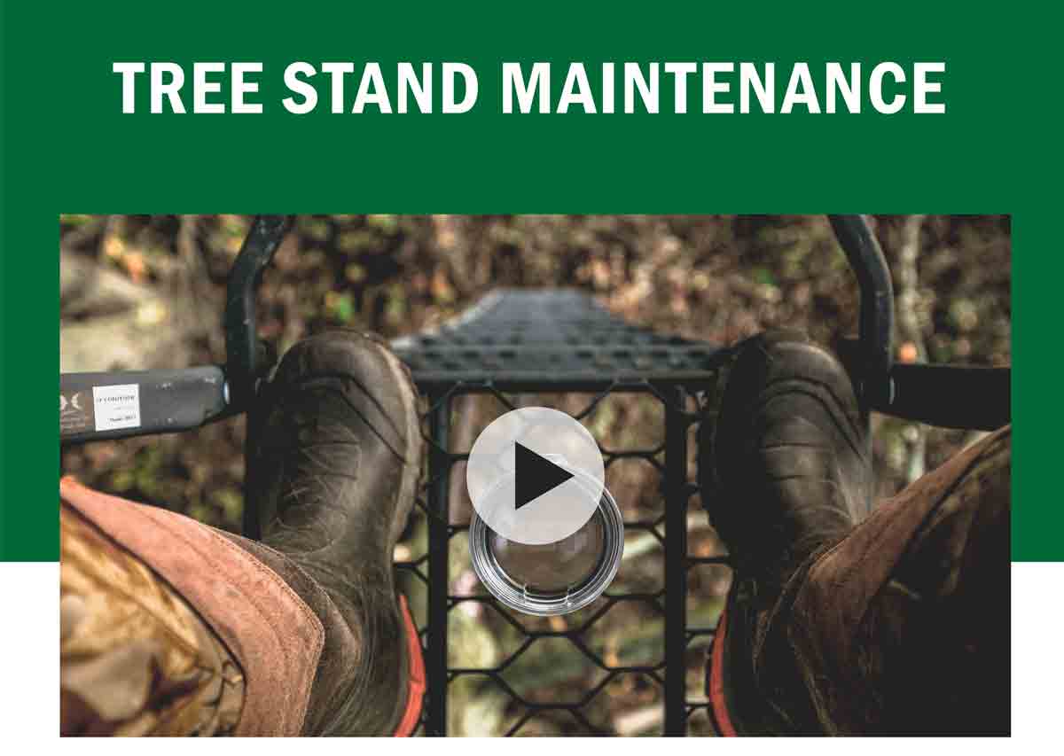 Tree Stand Maintenance