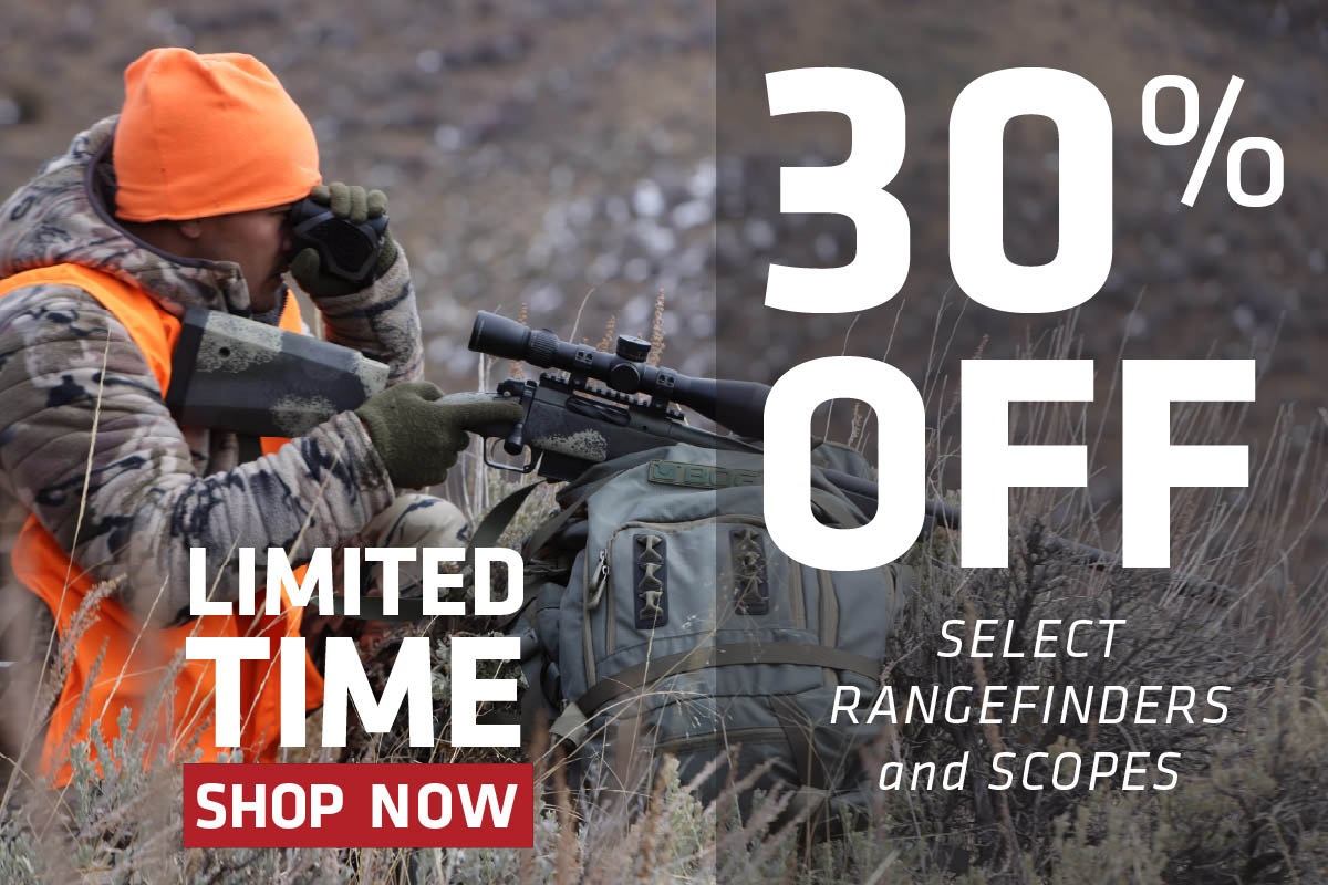 february sale, shop now