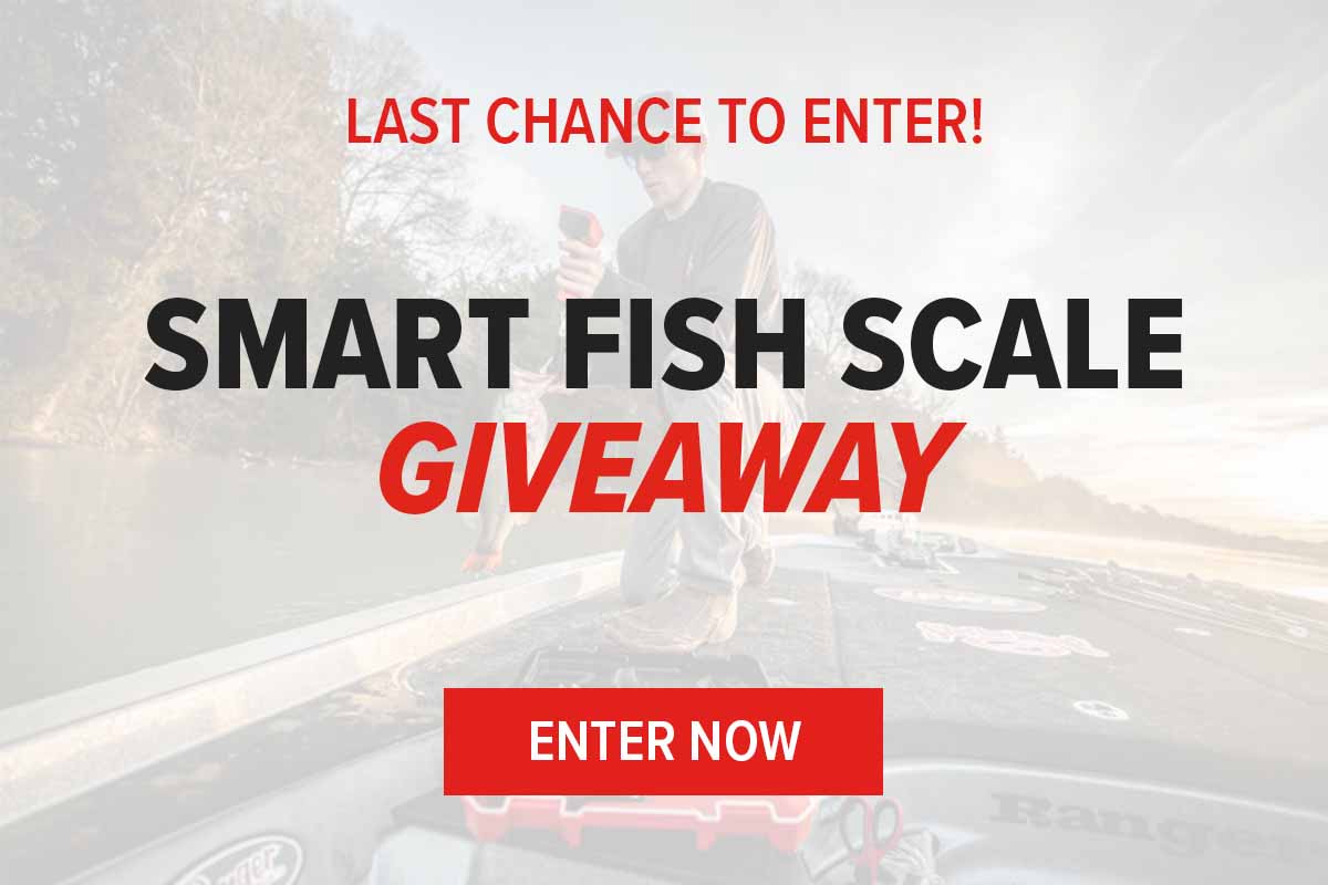Smart Fish Scale Giveaway